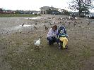 Thumbnail image of 2008_04100138.JPG