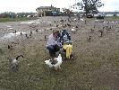Thumbnail image of 2008_04100139.JPG