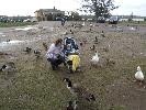 Thumbnail image of 2008_04100140.JPG