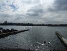 Thumbnail image of 2008_04100154.JPG