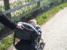 Thumbnail image of 2008_04100162.JPG