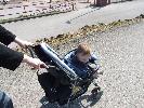 Thumbnail image of 2008_04100170.JPG