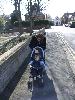 Thumbnail image of 2008_04100177.JPG
