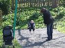 Thumbnail image of 2008_04100180.JPG