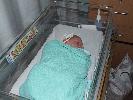 Thumbnail image of 2008_05250021.JPG