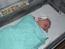 Thumbnail image of 2008_05250022.JPG