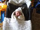 Thumbnail image of 2008_05250033.JPG