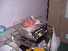 Thumbnail image of 2008_05250053.JPG