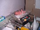 Thumbnail image of 2008_05250054.JPG