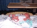 Thumbnail image of 2008_05250063.JPG