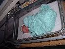 Thumbnail image of 2008_05250066.JPG