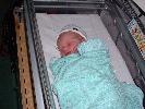 Thumbnail image of 2008_05250067.JPG