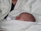 Thumbnail image of 2008_05250111.JPG