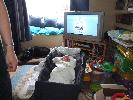 Thumbnail image of 2008_05250112.JPG