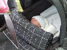 Thumbnail image of 2008_05300010.JPG