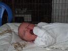 Thumbnail image of 2008_05300028.JPG