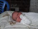 Thumbnail image of 2008_05300030.JPG