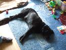 Thumbnail image of 2008_05300042.JPG