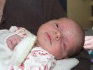 Thumbnail image of 2008_05300058.JPG