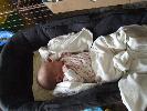 Thumbnail image of 2008_06010001.JPG