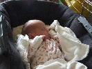 Thumbnail image of 2008_06010002.JPG