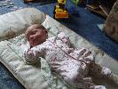 Thumbnail image of 2008_06010005.JPG