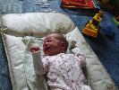 Thumbnail image of 2008_06010006.JPG