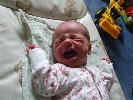 Thumbnail image of 2008_06010007.JPG