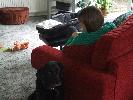 Thumbnail image of 2008_06010018.JPG