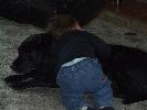 Thumbnail image of 2008_06010024.JPG