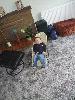 Thumbnail image of 2008_06010026.JPG