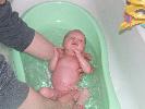 Thumbnail image of 2008_06100002.JPG