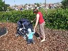 Thumbnail image of 2008_06100006.JPG