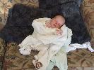 Thumbnail image of 2008_06100035.JPG