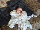 Thumbnail image of 2008_06100036.JPG