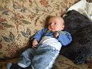 Thumbnail image of 2008_07180010.JPG