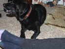 Thumbnail image of 2006_12300004.JPG