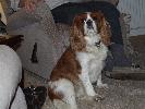 Thumbnail image of 2006_12300006.JPG