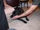 Thumbnail image of 2006_12300014.JPG