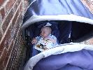 Thumbnail image of DSCF2594.JPG