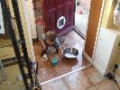 Thumbnail image of DSCF2600.JPG