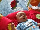 Thumbnail image of DSCF2608.JPG