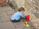 Thumbnail image of DSCF2643.JPG