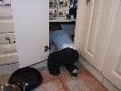 Thumbnail image of DSCF2681.JPG