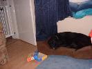 Thumbnail image of DSCF0059.JPG