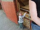 Thumbnail image of DSCF2703.JPG