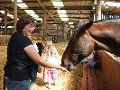 Thumbnail image of DSCF2705.JPG