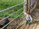 Thumbnail image of DSCF2707.JPG