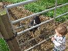 Thumbnail image of DSCF2708.JPG