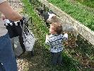 Thumbnail image of DSCF2709.JPG